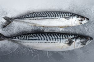 26.Atlantic-Mackerel