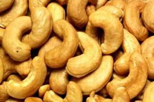 Cashew -13