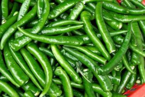 organic-fresh-green-chilli-122